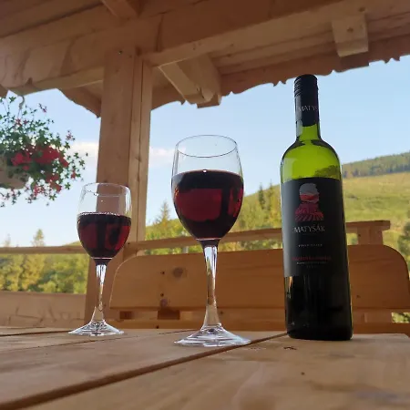 Chalet Stylovy Zrub Martina B S Pieckou A Kupacou Kadou! *